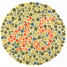 Quem tem visão normal vê o número 45. A maioria dos daltônicos não vê nada ou uma imagem equivocada. <a href="https://guiadoestudante.abril.com.br/vestibular/noticias/descobrir-daltonismo-pode-melhorar-vida-escolar-545415.shtml" target="_blank">Leia mais sobre daltonismo</a>.
