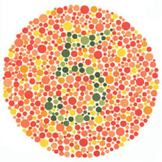 Quem tem visão normal vê o número 5. A maioria dos daltônicos não vê nada ou uma imagem equivocada. <a href="https://guiadoestudante.abril.com.br/vestibular/noticias/descobrir-daltonismo-pode-melhorar-vida-escolar-545415.shtml" target="_blank">Leia mais sobre daltonismo</a>.