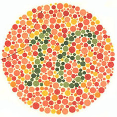Quem tem visão normal vê o número 16. A maioria dos daltônicos não vê nada ou uma imagem equivocada. <a href="https://guiadoestudante.abril.com.br/vestibular/noticias/descobrir-daltonismo-pode-melhorar-vida-escolar-545415.shtml" target="_blank">Leia mais sobre daltonismo</a>.