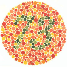 Quem tem visão normal vê o número 73. A maioria dos daltônicos não vê nada ou uma imagem equivocada. <a href="https://guiadoestudante.abril.com.br/vestibular/noticias/descobrir-daltonismo-pode-melhorar-vida-escolar-545415.shtml" target="_blank">Leia mais sobre daltonismo</a>.