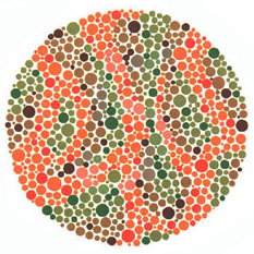 Quem tem a visão normal ou uma fraca deficiência não vê nada. Quem tem dificuldades para reconhecer o verde e o vermelho vê o número 5. <a href="https://guiadoestudante.abril.com.br/vestibular/noticias/descobrir-daltonismo-pode-melhorar-vida-escolar-545415.shtml" target="_blank">Leia mais sobre daltonismo</a>.