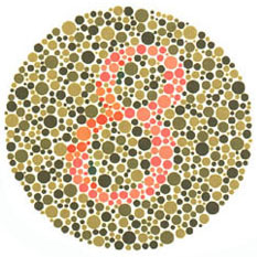 Quem tem visão normal vê o número 8. Quem tem dificuldades com o verde e o vermelho vê 3. <a href="https://guiadoestudante.abril.com.br/vestibular/noticias/descobrir-daltonismo-pode-melhorar-vida-escolar-545415.shtml" target="_blank">Leia mais sobre daltonismo</a>.
