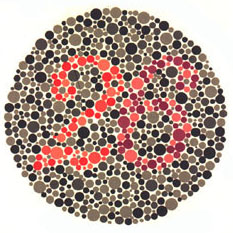 Quem tem a visão normal vê o número 26. <a href="https://guiadoestudante.abril.com.br/vestibular/noticias/descobrir-daltonismo-pode-melhorar-vida-escolar-545415.shtml" target="_blank">Leia mais sobre daltonismo</a>.