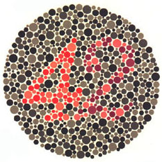 Quem tem a visão normal vê o número 42. <a href="https://guiadoestudante.abril.com.br/vestibular/noticias/descobrir-daltonismo-pode-melhorar-vida-escolar-545415.shtml" target="_blank">Leia mais sobre daltonismo</a>.