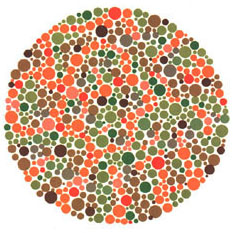 Quem tem a visão normal ou uma fraca deficiência não vê nada. Quem tem dificuldades para reconhecer o verde e o vermelho vê um traço. <a href="https://guiadoestudante.abril.com.br/vestibular/noticias/descobrir-daltonismo-pode-melhorar-vida-escolar-545415.shtml" target="_blank">Leia mais sobre daltonismo</a>.