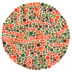 Quem tem a visão normal ou uma fraca deficiência não vê nada. Quem tem dificuldades para reconhecer o verde e o vermelho vê um traço. <a href="https://guiadoestudante.abril.com.br/vestibular/noticias/descobrir-daltonismo-pode-melhorar-vida-escolar-545415.shtml" target="_blank">Leia mais sobre daltonismo</a>.
