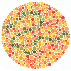 Quem tem a visão normal vê um traço azul-verde. <a href="https://guiadoestudante.abril.com.br/vestibular/noticias/descobrir-daltonismo-pode-melhorar-vida-escolar-545415.shtml" target="_blank">Leia mais sobre daltonismo</a>.