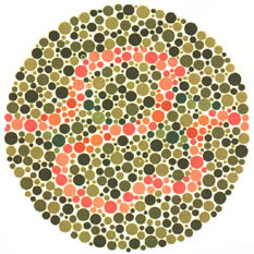 Quem tem a visão normal vê traços púrpura e laranja. <a href="https://guiadoestudante.abril.com.br/vestibular/noticias/descobrir-daltonismo-pode-melhorar-vida-escolar-545415.shtml" target="_blank">Leia mais sobre daltonismo</a>.