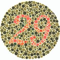 Quem tem visão normal vê o número 29. Quem tem dificuldades com o verde e o vermelho vê 70. <a href="https://guiadoestudante.abril.com.br/vestibular/noticias/descobrir-daltonismo-pode-melhorar-vida-escolar-545415.shtml" target="_blank">Leia mais sobre daltonismo</a>.
