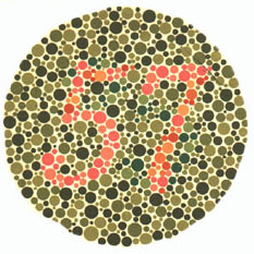 Quem tem visão normal vê o número 57. Quem tem dificuldades com o verde e o vermelho vê 35. <a href="https://guiadoestudante.abril.com.br/vestibular/noticias/descobrir-daltonismo-pode-melhorar-vida-escolar-545415.shtml" target="_blank">Leia mais sobre daltonismo</a>.