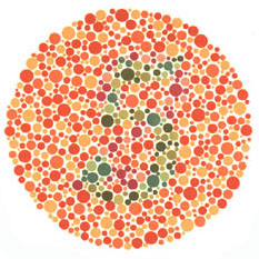 Quem tem visão normal vê o número 5. Quem tem dificuldades com o verde e o vermelho vê 2. <a href="https://guiadoestudante.abril.com.br/vestibular/noticias/descobrir-daltonismo-pode-melhorar-vida-escolar-545415.shtml" target="_blank">Leia mais sobre daltonismo</a>.