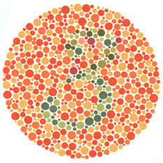 Quem tem visão normal vê o número 3. Quem tem dificuldades com o verde e o vermelho vê 5. <a href="https://guiadoestudante.abril.com.br/vestibular/noticias/descobrir-daltonismo-pode-melhorar-vida-escolar-545415.shtml" target="_blank">Leia mais sobre daltonismo</a>.