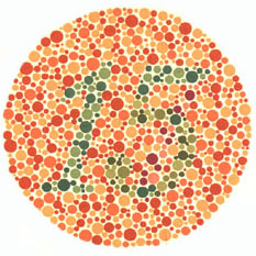 Quem tem visão normal vê o número 15. Quem tem dificuldades com o verde e o vermelho vê 17. <a href="https://guiadoestudante.abril.com.br/vestibular/noticias/descobrir-daltonismo-pode-melhorar-vida-escolar-545415.shtml" target="_blank">Leia mais sobre daltonismo</a>.