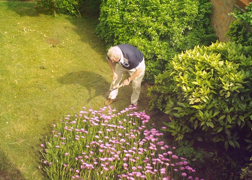 Gosta de cuidar do jardim de casa? Se você se dedicar bastante e fizer cursos profissionalizantes, pode trabalhar cuidando dos jardins de outros. (Foto: Wikimedia Commons)