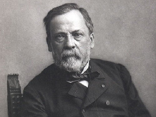 Em 1865 foi a vez do químico francês Louis Pasteur desenvolver um método de descontaminação, a famosa pasteurização. (Foto: Wikimedia Commons)
