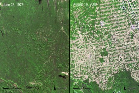 O Brasil encabeça a lista com o desmatamento provocado pela atividade agropecuária. Em 2008, 38% da Amazônia desapareceu. No lugar das árvores, surgiram fazendas.(Imagem: NASA)