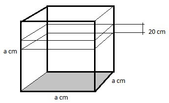 Matemática – Cálculo de área e volume