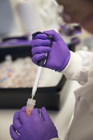 EPM-Unifesp abre inscrições para Mestrado Profissional de Medicina