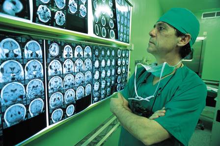ICB-USP oferece bolsa de pós-doutorado em Neuroanatomia