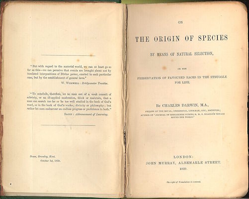 A teoria de Darwin foi descrita em estudo detalhado, chamado de A Origem das Espécies. O livro acabou na lista de leituras proibidas pela Igreja Católica por ir de encontro com o criacionismo.