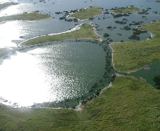 PANTANAL - Estude sobre a maior área alagada de água doce do mundo.