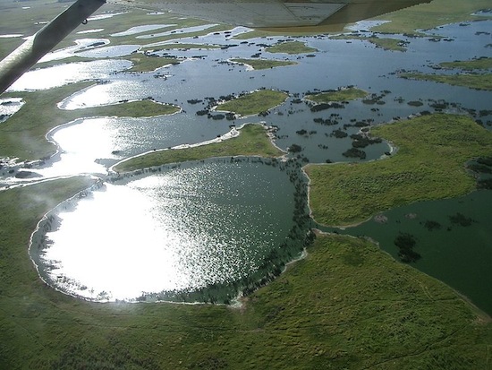 PANTANAL - Presente nos estados do Mato Grosso e Mato Grosso do Sul, o pantanal tem inundações de longa duração, o que provoca alterações na vida silvestre e na vegetação, que é caracterizada pela savana. Grande parte da área que circunda o pantanal foi substituida por pastos e lavouras.