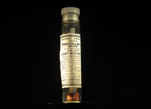 Fleming criou a penicilina ao perceber que o fungo penicillium produz uma substância com propriedades de matar bactérias. (Foto: Wikimedia Commons