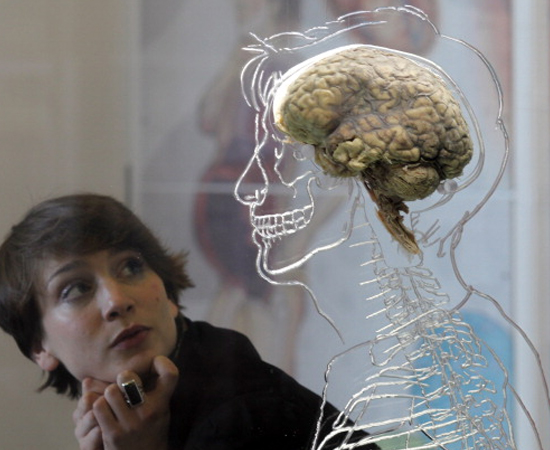 PERÍODO QUATERNÁRIO DA ERA CENOZOICA - Era geológica que teve início há cerca de 1 milhão de anos e perdura até os dias atuais. As principais ocorrências nesse período foram: grandes glaciações; atual formação dos continentes e oceanos; surgimento do homem. PERÍODO QUATERNÁRIO DA ERA CENOZOICA - Era geológica que teve início há cerca de 1 milhão de anos e perdura até os dias atuais. As principais ocorrências nesse período foram: grandes glaciações; atual formação dos continentes e oceanos; surgimento do homem.