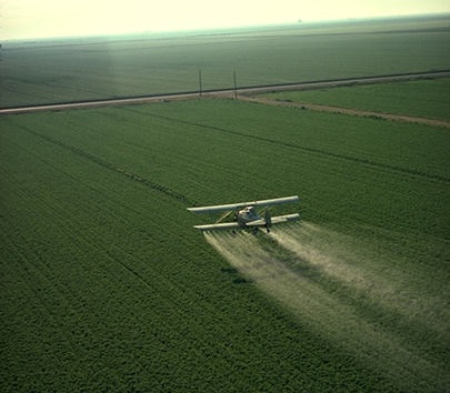 A agricultura pode ser um vilão na questão da água. É que a contaminação da água que fica no subsolo por pesticidas inutilizar aquíferos para sempre.
