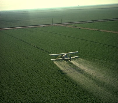 A agricultura pode ser um vilão na questão da água. É que a contaminação da água que fica no subsolo por pesticidas inutilizar aquíferos para sempre. A agricultura pode ser um vilão na questão da água. É que a contaminação da água que fica no subsolo por pesticidas inutilizar aquíferos para sempre.
