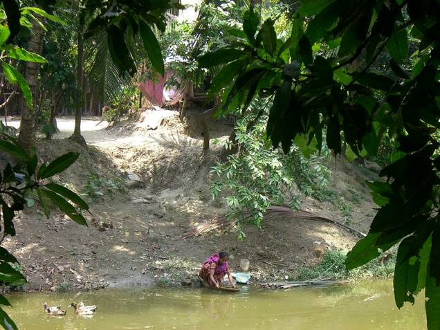 Rios e lagos também podem ficar sem oxigênio por conta do excesso de algas, deixando o ambiente impróprio para peixes. Rios e lagos também podem ficar sem oxigênio por conta do excesso de algas, deixando o ambiente impróprio para peixes.