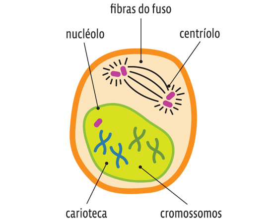 Guia do Estudante - Biologia - 2013