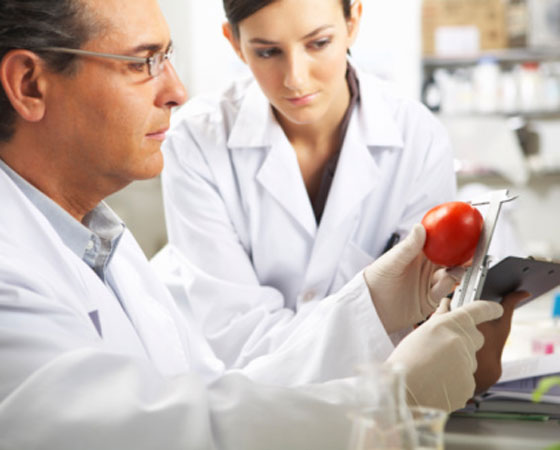 UFFS oferece pós-graduação em Ciência e Tecnologia de Alimentos