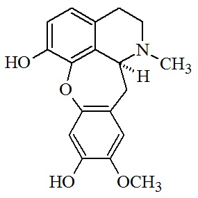 Características dos compostos de carbono, principais funções orgânicas e fermentação. Noções básicas sobre polímeros. Amido, glicogênio e celulose. Borracha natural e sintética. Polietileno, poliestireno, PVC, Teflon, náilon.