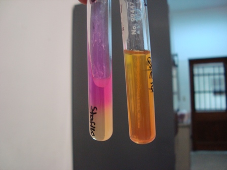 Unicamp tem inscrições abertas para mestrado em Engenharia Química