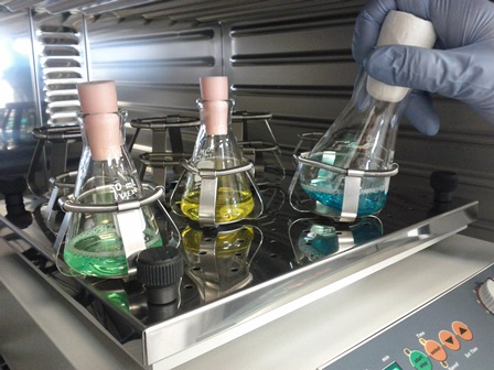 UERJ inscreve para pós-graduação em Química