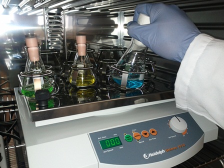 Unesp recebe inscrições para pós-graduação em Química