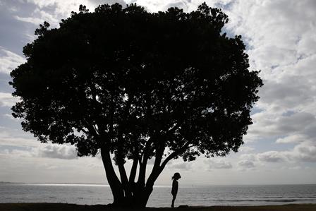 PROGESA/FIA oferece pós-graduação Gestão Socioambiental para Sustentabilidade