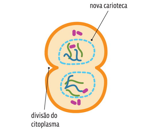 Guia do Estudante - Biologia - 2013