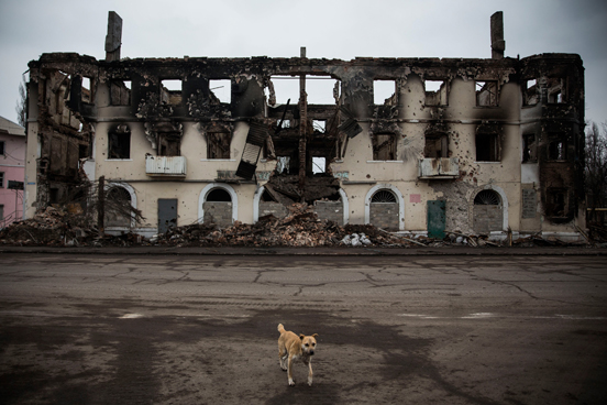 Um cão passa por um edifício destruído pela guerra em Uglegorsk, Ucrânia. (Foto: Andrew Burton / Getty Images)