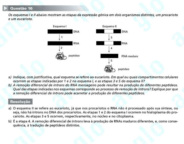 Unicamp 2012: Questão 16 (segunda fase) – Ciências da Natureza