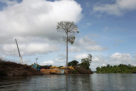 USP oferece oportunidade de pós-doutorado em Ecologia