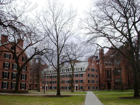 Programa da USP oferece oportunidade de bolsas na Yale University