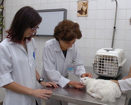UDESC recebe inscrições para pós-graduação em Ciência Animal