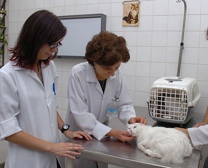 USP abre inscrições para curso de verão em Zoologia