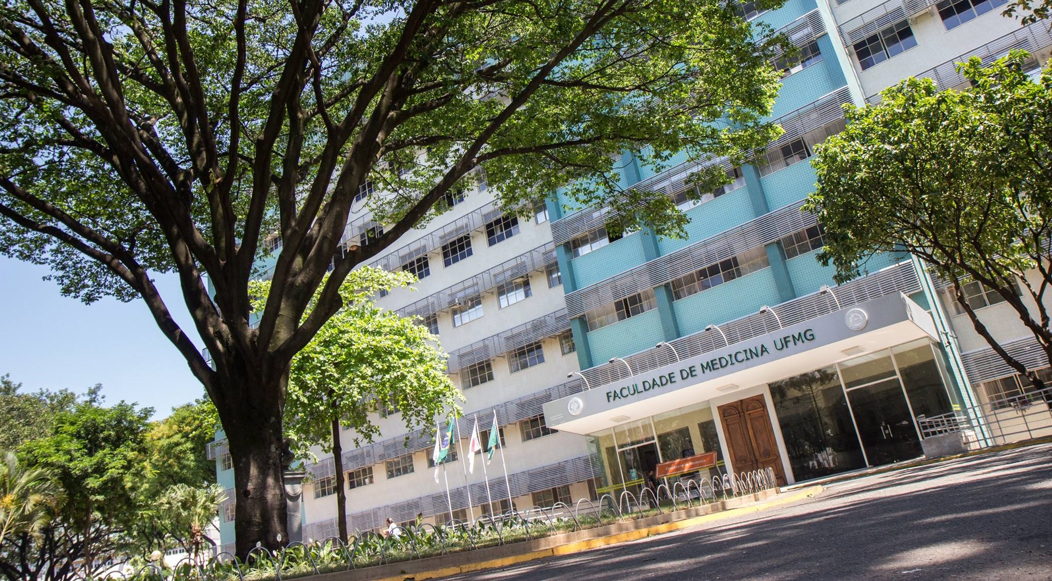 UFMG - Universidade Federal de Minas Gerais - Pós-graduação em Direito abre  inscrições para mestrado e doutorado