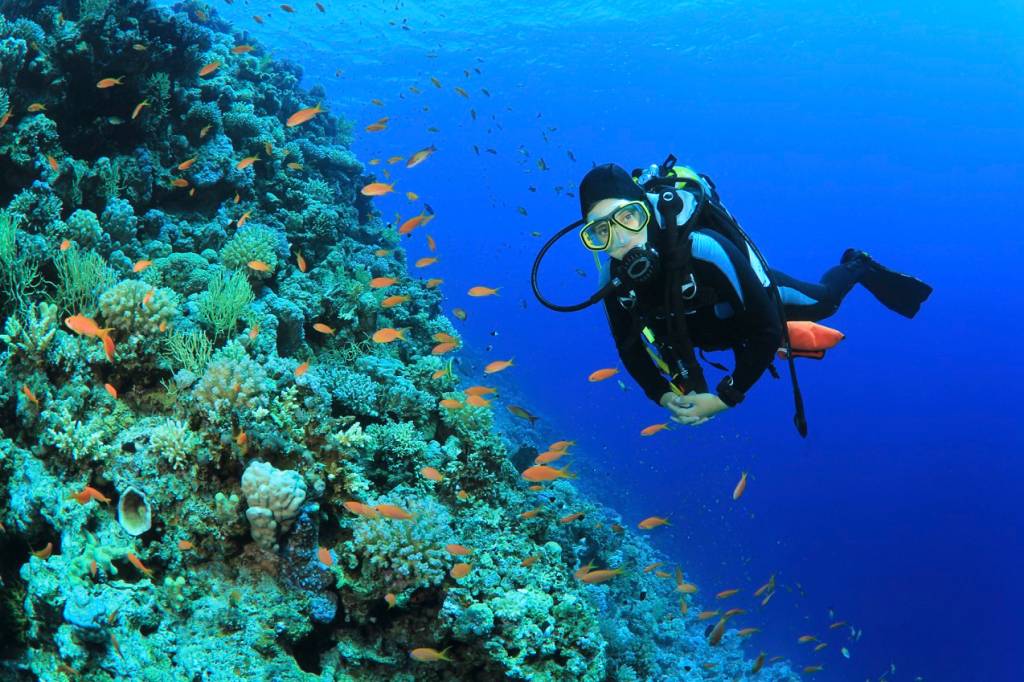 Como está o mercado de trabalho para um recém-formado em Oceanografia?