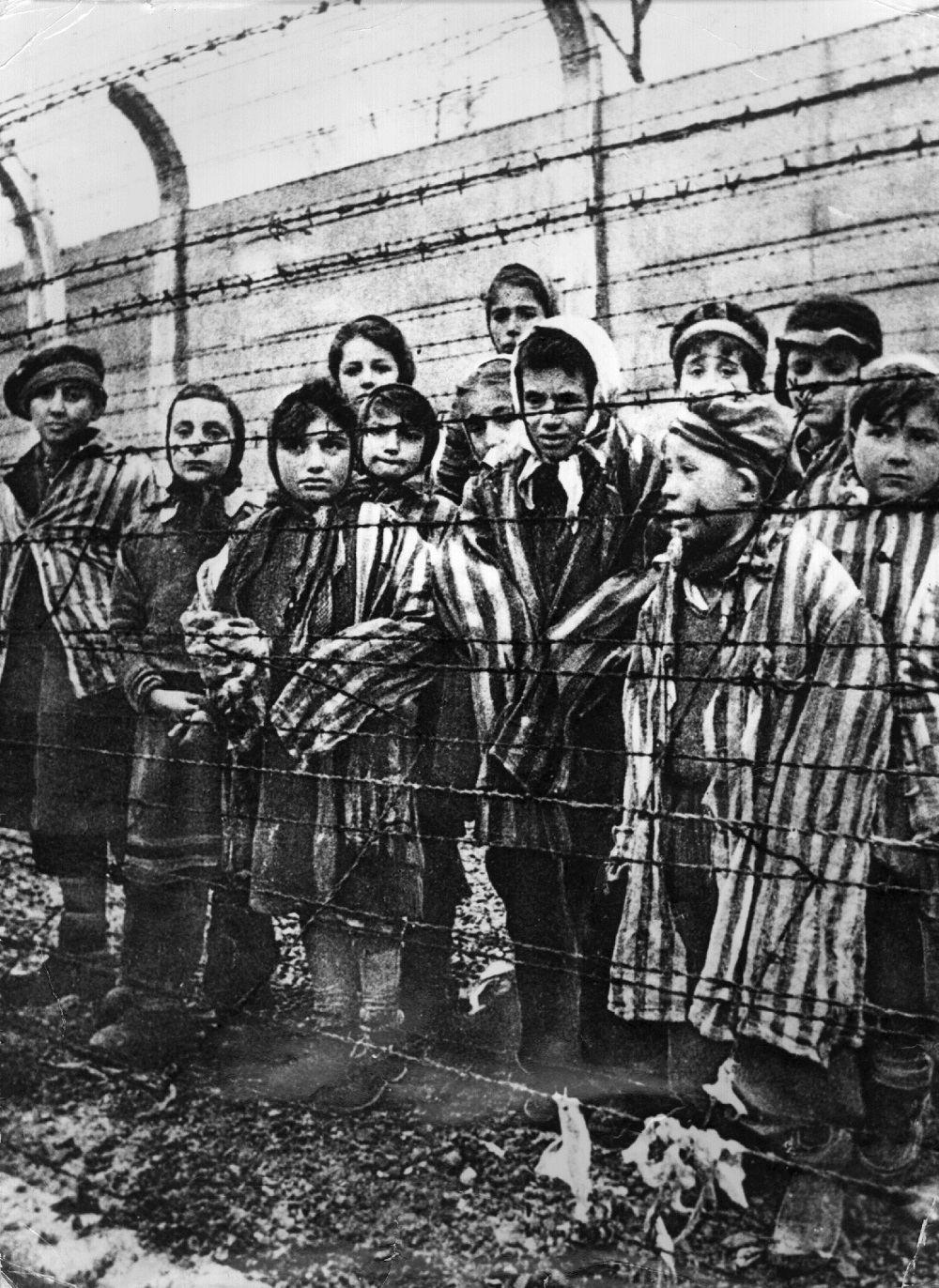 Auschwitz Children