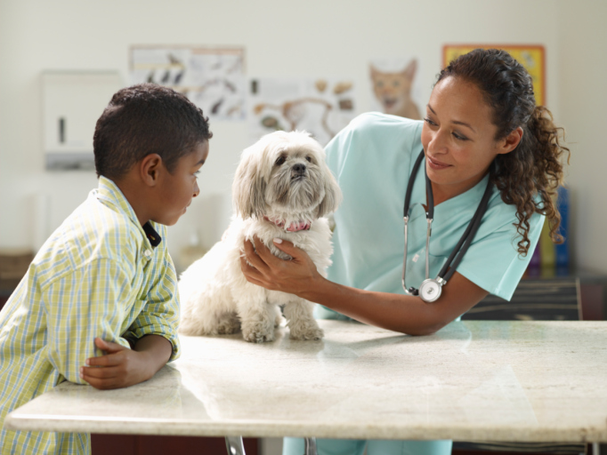 Saiba mais sobre o curso de Medicina Veterinária da UFRGS