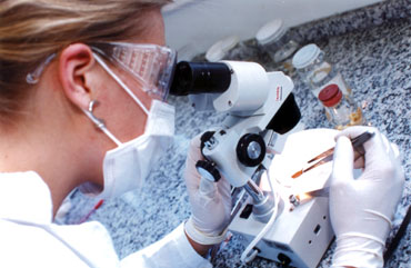 Os melhores cursos de Biomedicina do Brasil